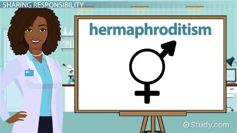 hermaphrodite pron|Hermaphrodite 1,111 videos